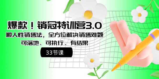 爆款！销冠特训营3.0之顺人性销售法，全方位解决销售难题、可落地-副业网创