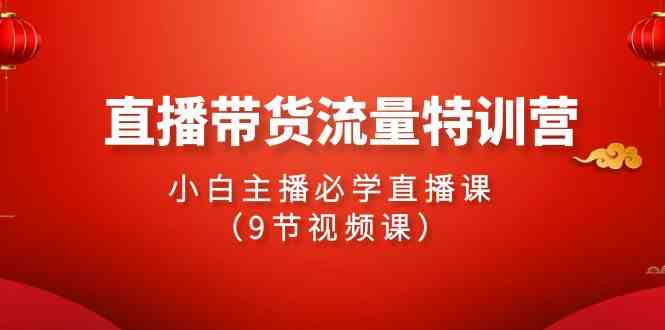 （9592期）2024直播带货流量特训营，小白主播必学直播课（9节视频课）-副业网创