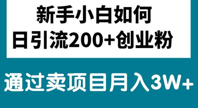（10843期）新手小白日引流200+创业粉,通过卖项目月入3W+-副业网创