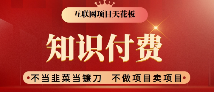2024互联网项目天花板，新手小白也可以通过知识付费月入10W，实现财富自由-副业网创