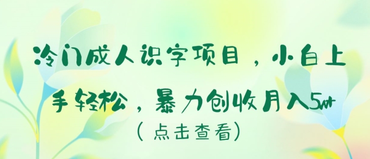 冷门成人识字项目，小白上手轻松，暴力创收月入5w+-副业网创