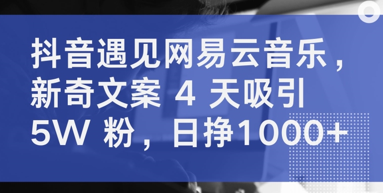 抖音遇见网易云音乐，新奇文案 4 天吸引 5W 粉，日挣1000+-副业网创