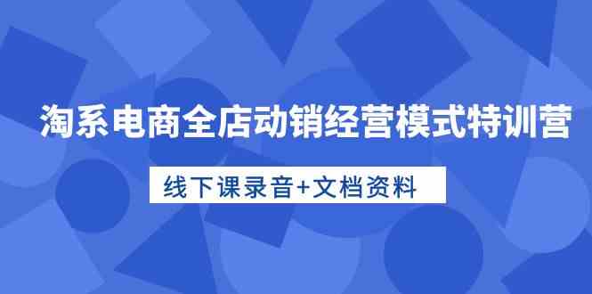 淘系电商全店动销经营模式特训营，线下课录音+文档资料-副业网创