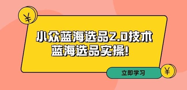 拼多多培训第33期：小众蓝海选品2.0技术-蓝海选品实操！-副业网创