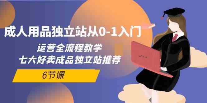 （10082期）成人用品独立站从0-1入门，运营全流程教学，七大好卖成品独立站推荐-6节课-副业网创