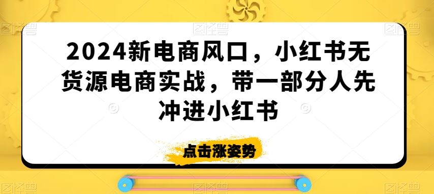 2024新电商风口，小红书无货源电商实战，带一部分人先冲进小红书-副业网创