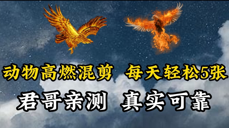 动物超燃混剪，每天轻松5张，剪辑简单大家爱看-副业网创