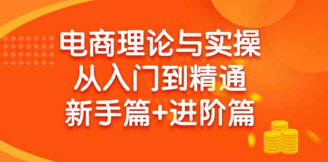 （9576期）电商理论与实操从入门到精通 新手篇+进阶篇-副业网创
