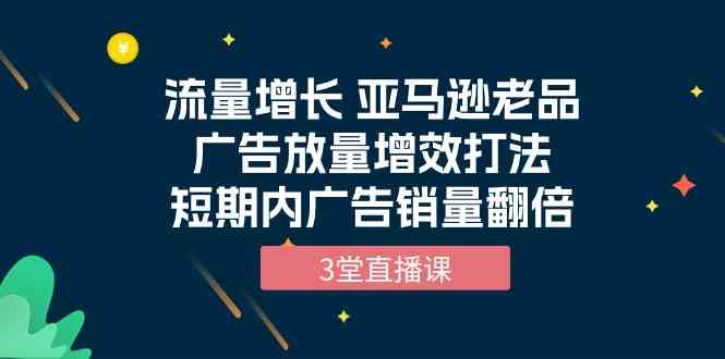 流量增长 亚马逊老品广告放量增效打法，短期内广告销量翻倍（3堂直播课）-副业网创