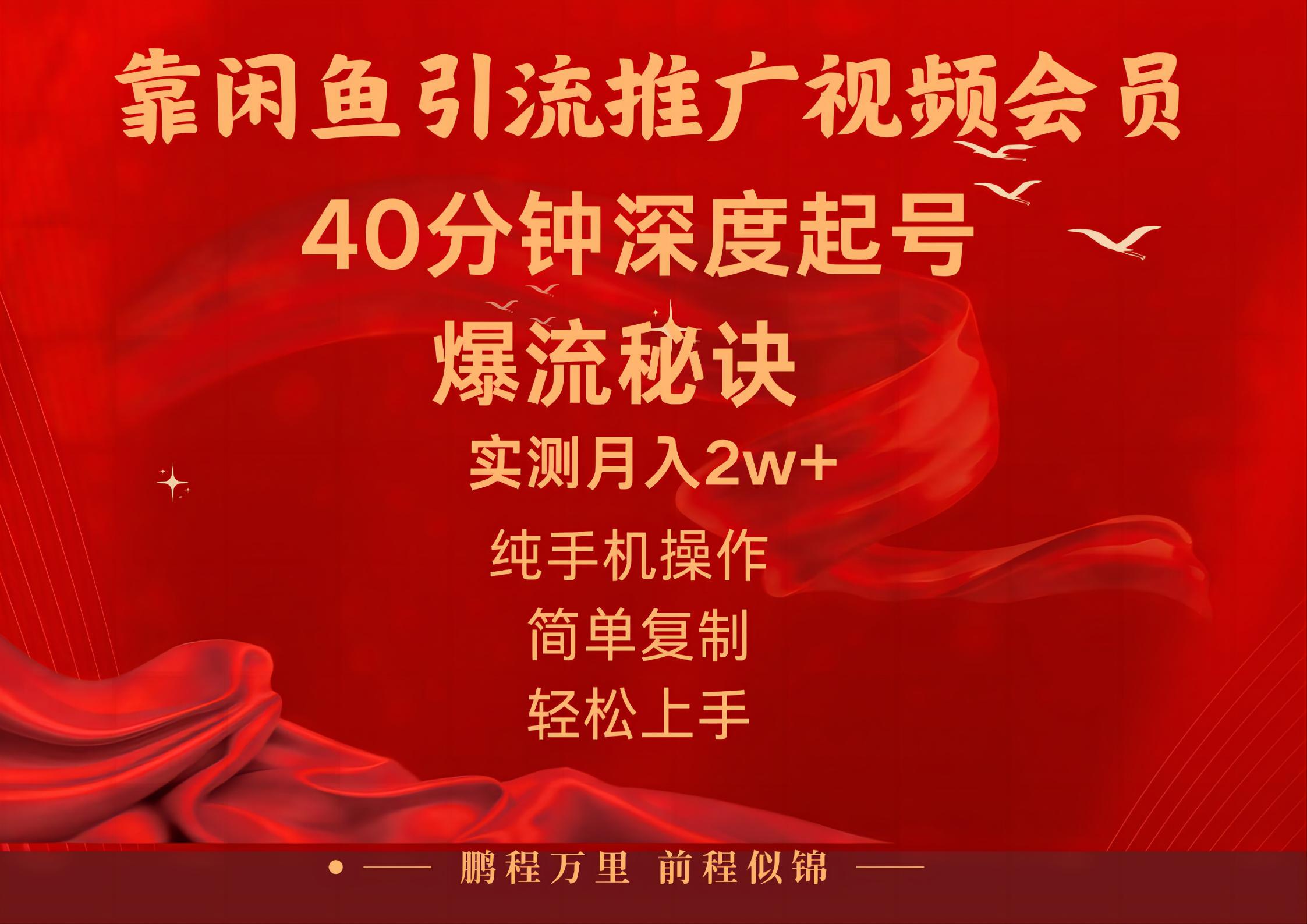 闲鱼暴力引流推广视频会员，能做到日入2W+，操作简单-副业网创