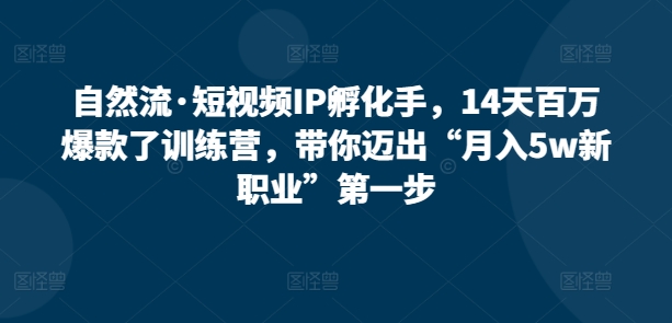 自然流·短视频IP孵化手，14天百万爆款了训练营，带你迈出“月入5w新职业”第一步-副业网创