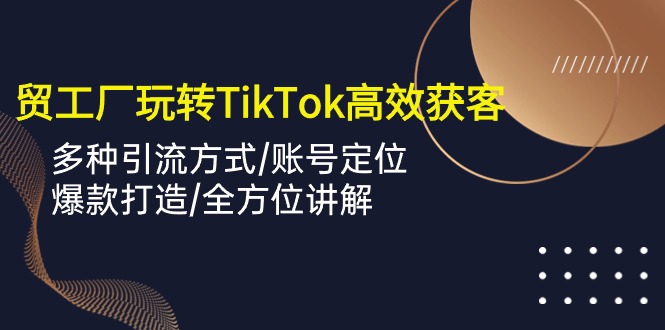 外贸工厂玩转TikTok高效获客，多种引流方式/账号定位/爆款打造/全方位讲解-副业网创