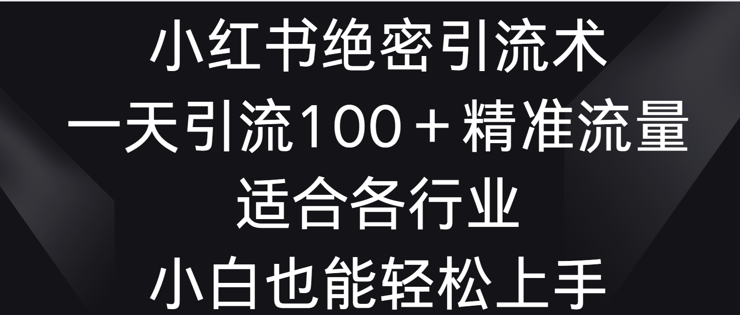 小红书绝密引流术，一天引流100＋精准流量，适合各个行业，小白也能轻松上手-副业网创