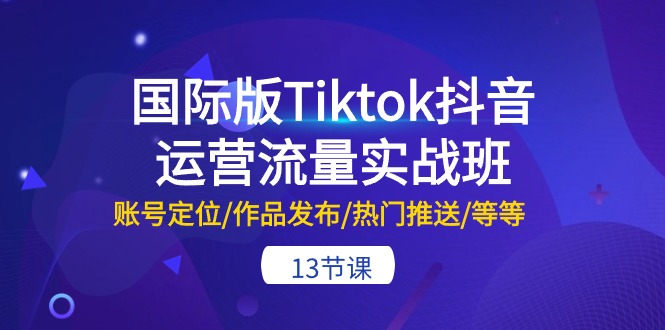 （10712期）国际版Tiktok抖音运营流量实战班：账号定位/作品发布/热门推送/等等-13节-副业网创
