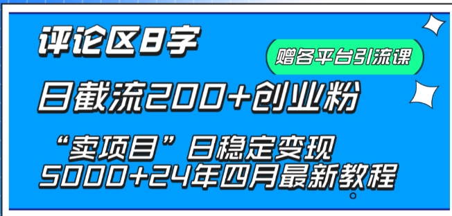 抖音评论区8字日截流200+创业粉 “卖项目”日稳定变现5000+-副业网创