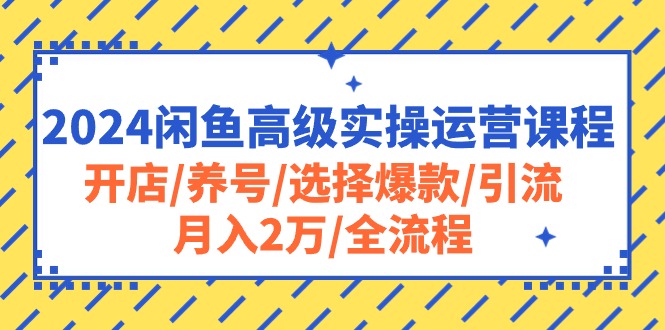 （10711期）2024闲鱼高级实操运营课程：开店/养号/选择爆款/引流/月入2万/全流程-副业网创