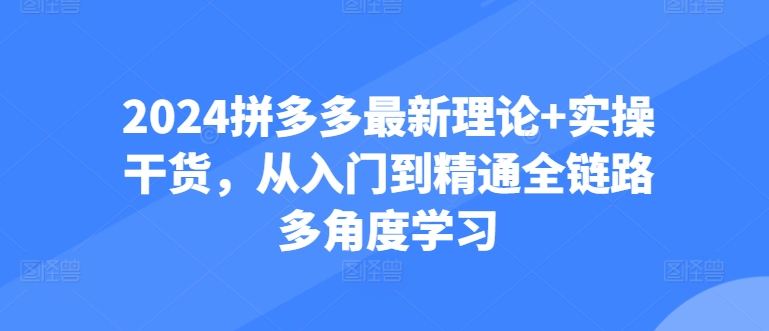 2024拼多多最新理论+实操干货，从入门到精通全链路多角度学习-副业网创