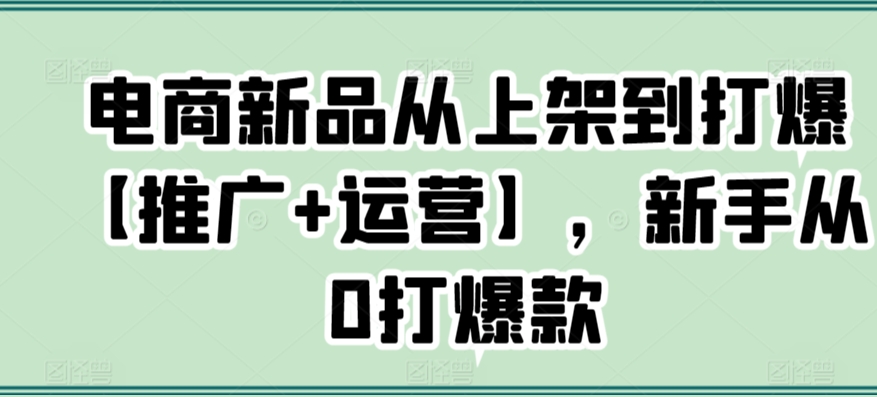 电商新品从上架到打爆【推广+运营】，新手从0打爆款-副业网创