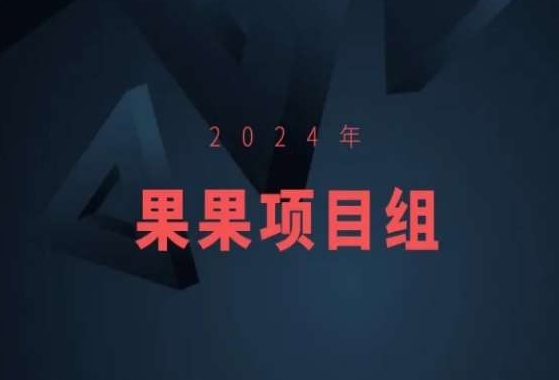 2024年果果项目组项目合集-果果最新项目-副业网创