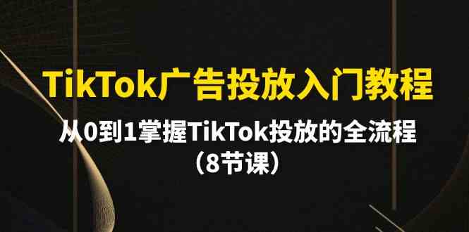 （10085期）TikTok广告投放入门教程，从0到1掌握TikTok投放的全流程（8节课）-副业网创