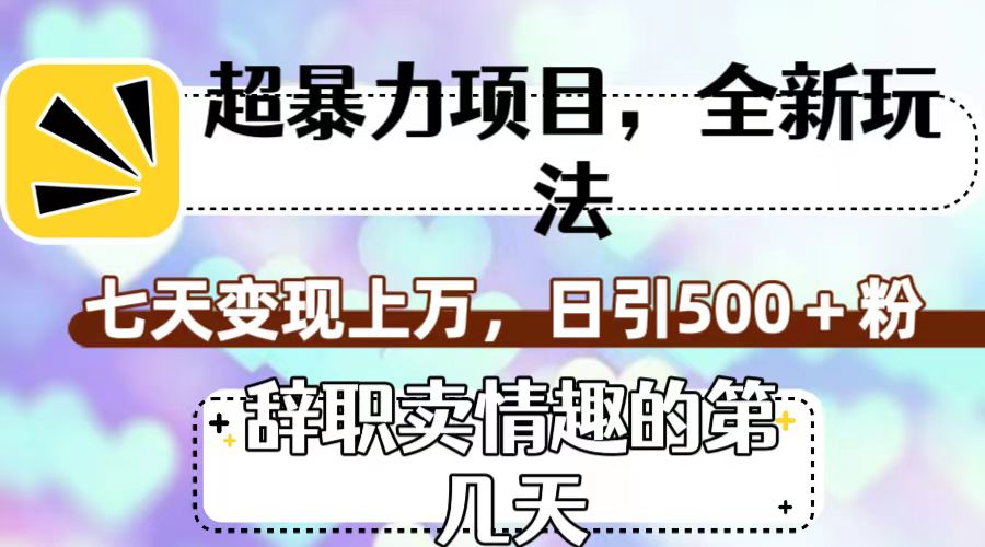 超暴利项目，全新玩法（辞职卖情趣的第几天），七天变现上万，日引500+粉-副业网创