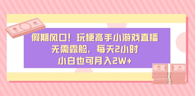 假期风口！玩梗高手小游戏直播，无需露脸，每天2小时，小白也可月入2W+-副业网创