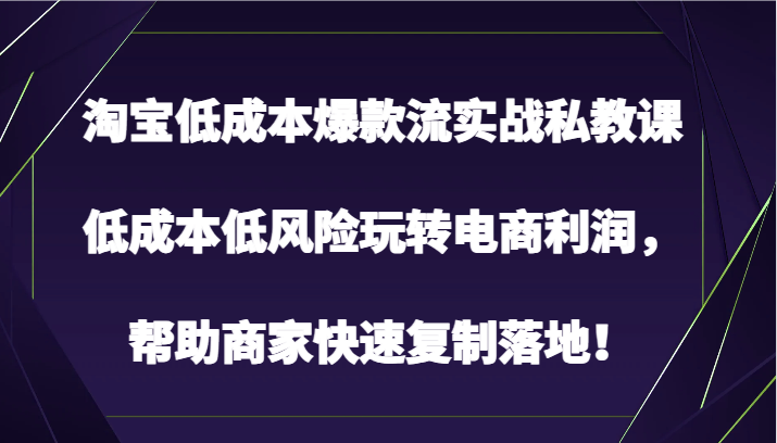 淘宝低成本爆款流实战私教课，低成本低风险玩转电商利润，帮助商家快速复制落地！-副业网创