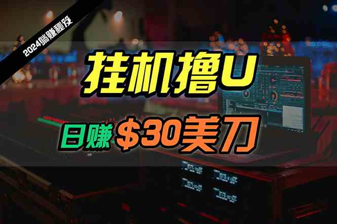 （10013期）日赚30美刀，2024最新海外挂机撸U内部项目，全程无人值守，可批量放大-副业网创