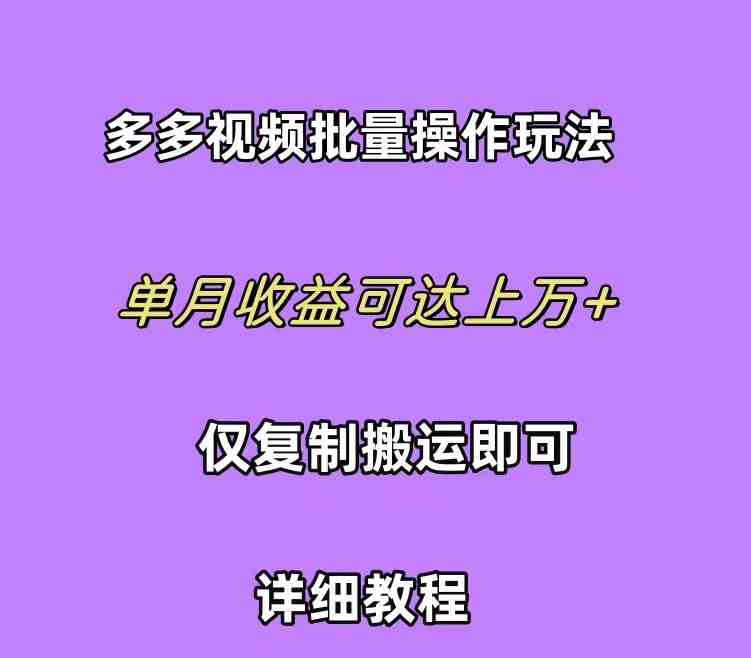 （10029期）拼多多视频带货快速过爆款选品教程 每天轻轻松松赚取三位数佣金 小白必…-副业网创