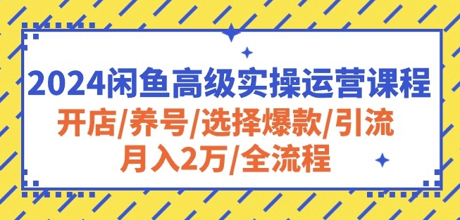 2024闲鱼高级实操运营课程：开店/养号/选择爆款/引流/月入2万/全流程-副业网创