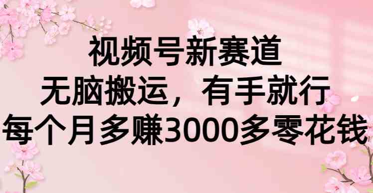 （9277期）视频号新赛道，无脑搬运，有手就行，每个月多赚3000多零花钱-副业网创