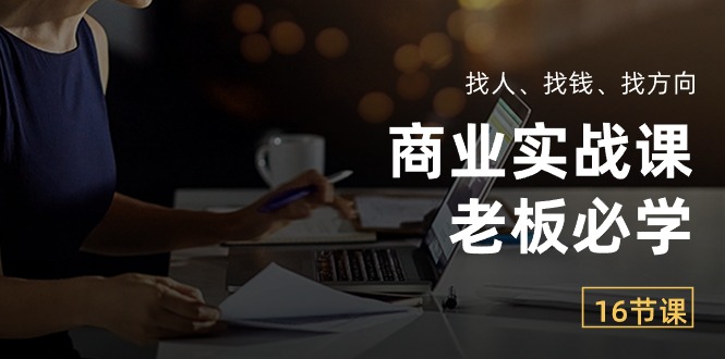 商业实战课【老板必学】：找人、找钱、找方向（16节课）-副业网创