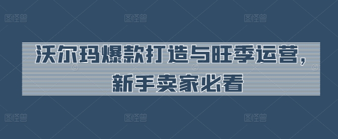 沃尔玛爆款打造与旺季运营，新手卖家必看-副业网创