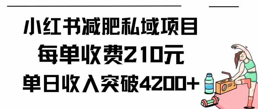 （9466期）小红书减肥私域项目每单收费210元单日成交20单，最高日入4200+-副业网创