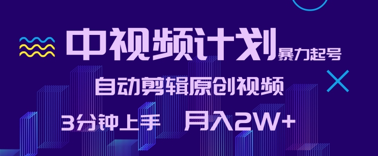 中视频计划暴力起号，自动剪辑原创视频，3分钟上手，月入2W+-副业网创