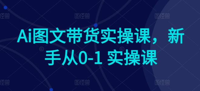 Ai图文带货实操课，新手从0-1 实操课-副业网创