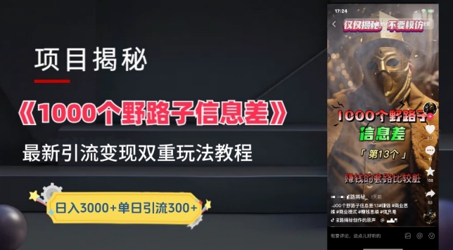 一千个野路子信息差最新玩法教程-变现+引流的玩法具体拆解-副业网创