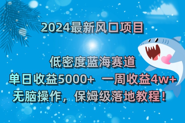 2024最新风口项目 低密度蓝海赛道，日收益5000+周收益4w+ 无脑操作-副业网创