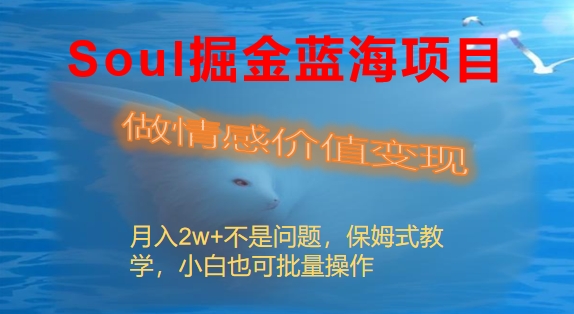 Soul掘金蓝海项目细分赛道，做情感价值变现，月入2w+不是问题-副业网创