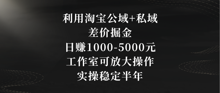 利用淘宝公域+私域差价掘金，日赚1000-5000元，工作室可放大操作，实操…-副业网创