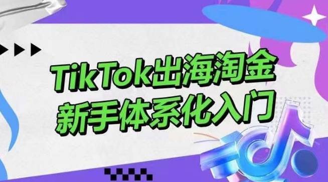 TikTok出海淘金，新手体系化入门，零基础快速入门，掌握短视频、直播带货等引流到变现的知识-副业网创