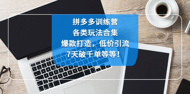 拼多多训练营：各玩法合集，爆款打造，低价引流，7天破千单等等！-副业网创