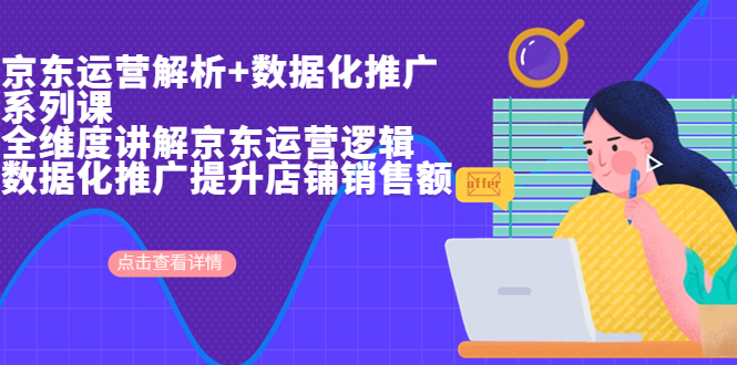 京东运营解析与数据化推广系列课，全维度讲解京东运营逻辑+数据化推广提…-副业网创