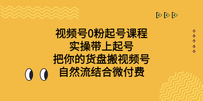 视频号0粉起号课程 实操带上起号 把你的货盘搬视频号 自然流结合微付费-副业网创