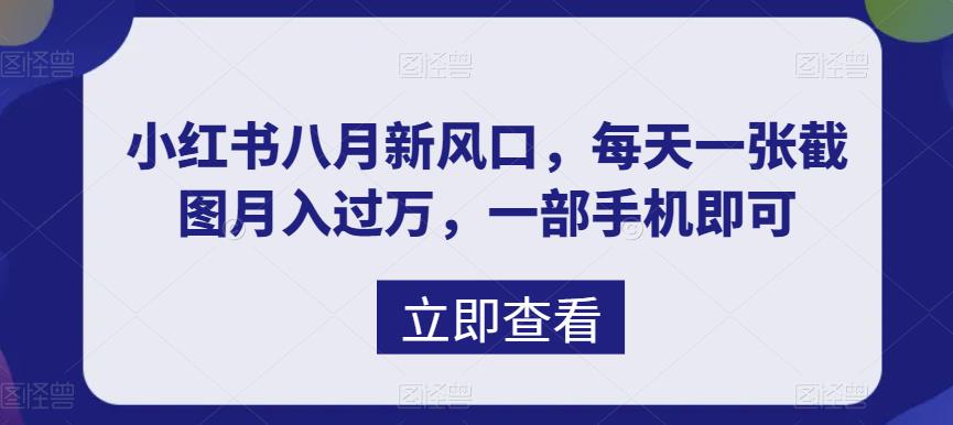 八月新风口，小红书虚拟项目一天收入1000+，实战揭秘-副业网创