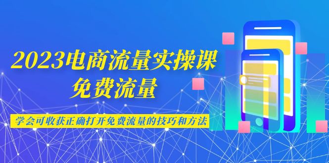 2023电商流量实操课-免费流量，学会可收获正确打开免费流量的技巧和方法-副业网创
