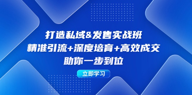 打造私域&发售实操班：精准引流+深度培育+高效成交，助你一步到位-副业网创