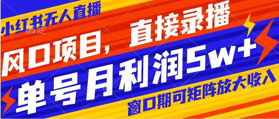 风口项目，小红书无人直播带货，直接录播，可矩阵，月入5w+-副业网创