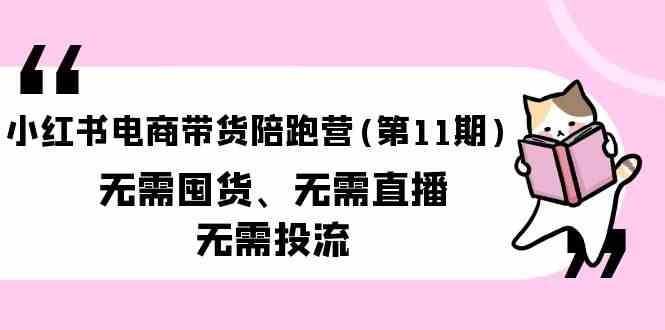 （9996期）小红书电商带货陪跑营(第11期)无需囤货、无需直播、无需投流（送往期10套）-副业网创