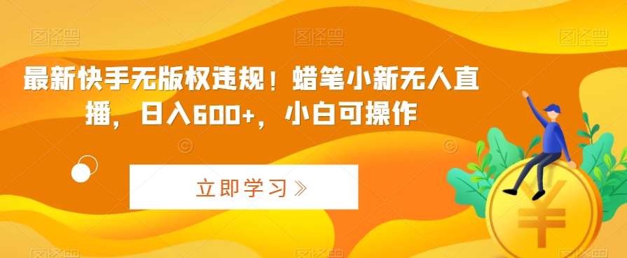最新快手无版权违规！蜡笔小新无人直播，日入600+，小白可操作-副业网创